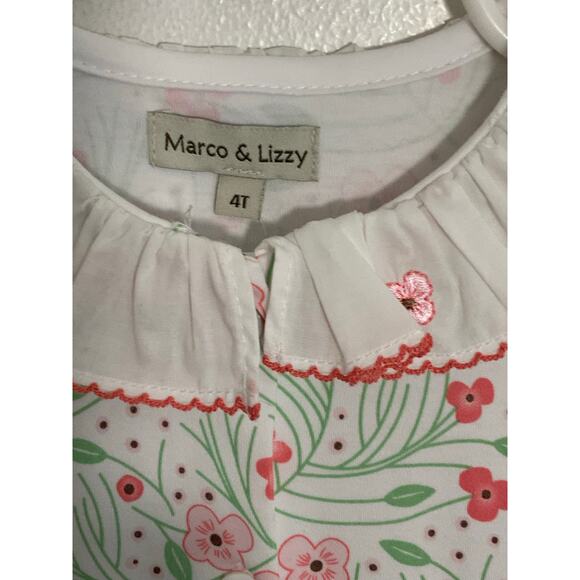 Marco & Lizzy Cherry Blossoms Girl's Dropped Waist Dress NWT size 4T - Picture 3 of 5